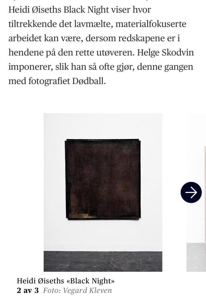 Anmeldelse i Aftenposten 17/9 av kunstanmelder Alma Holtvedt